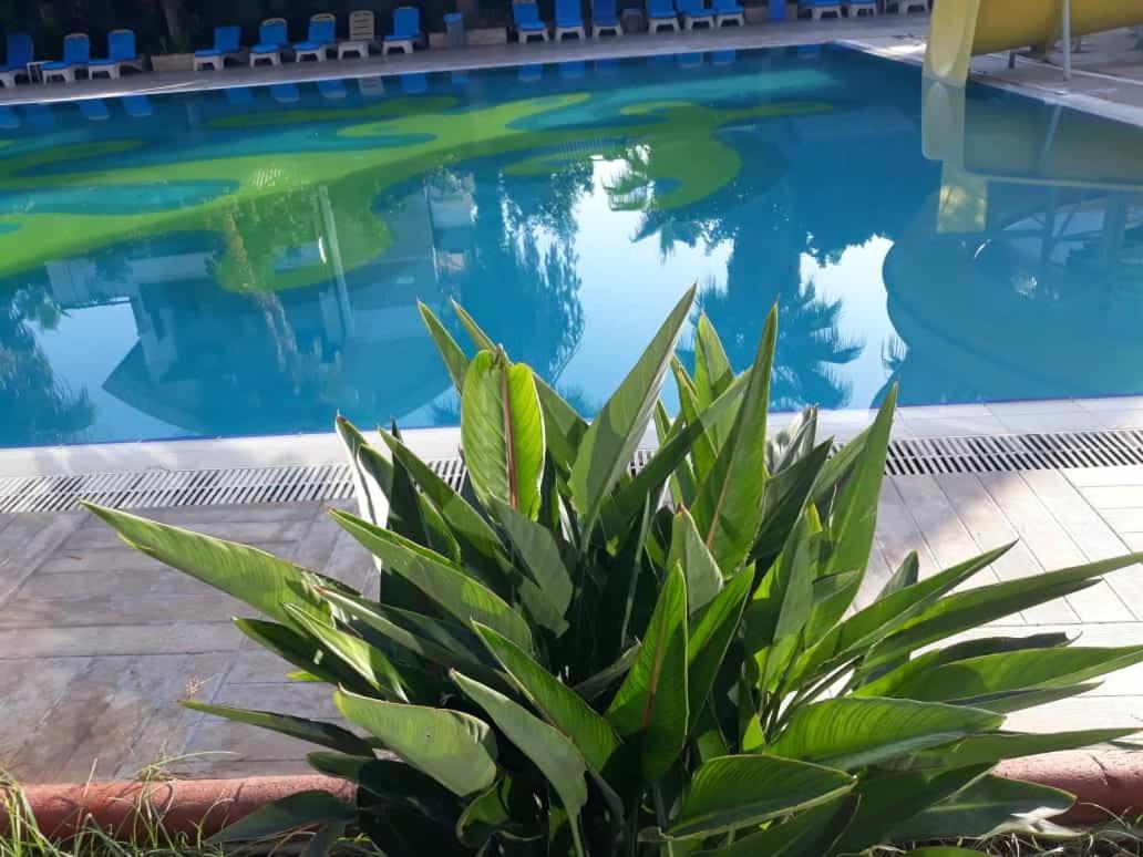 Club Jovia Kemer Hotel Antalya Buitenkant foto