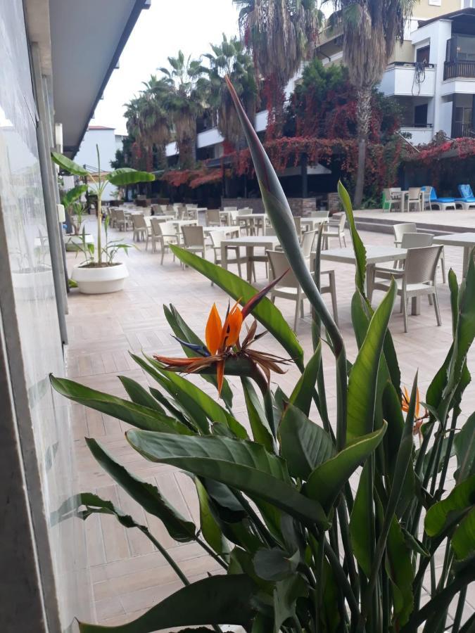 Club Jovia Kemer Hotel Antalya Buitenkant foto