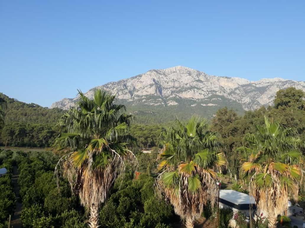 Club Jovia Kemer Hotel Antalya Buitenkant foto