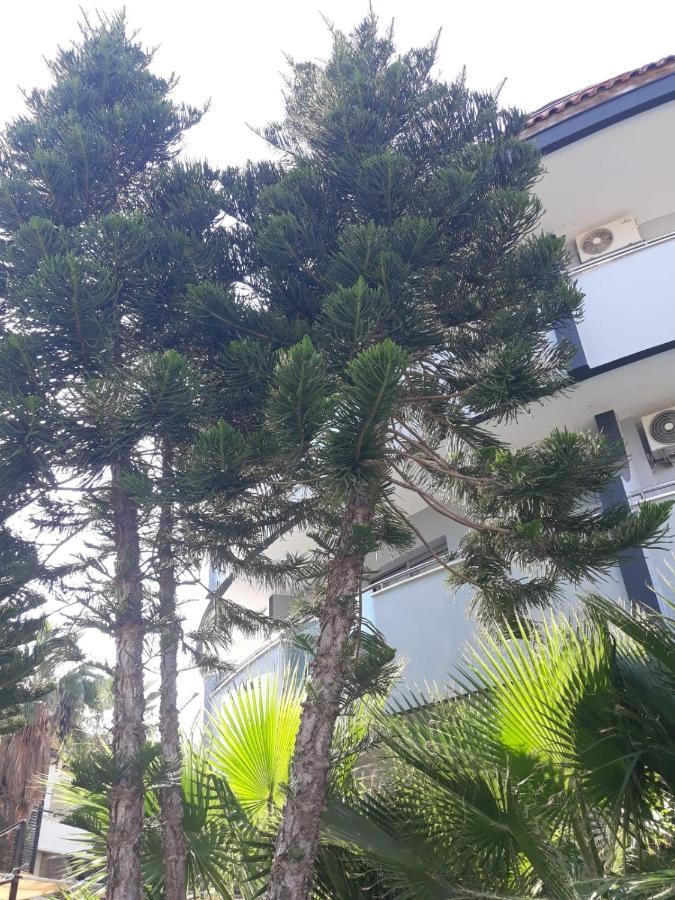 Club Jovia Kemer Hotel Antalya Buitenkant foto